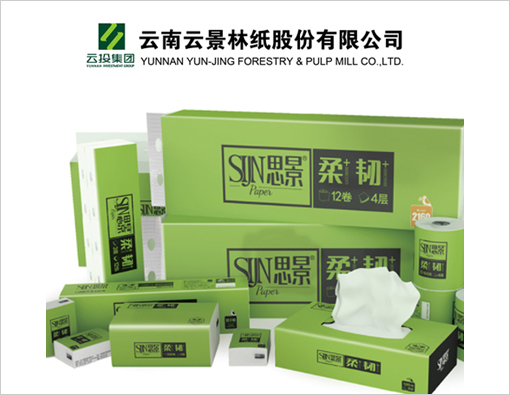 云景林纸品牌营销策划案